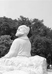 穗帷飘井干，樽酒若平生