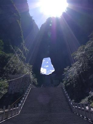 心甘情愿