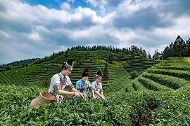 跛足道人念的《好了歌》