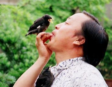 春冰虎尾