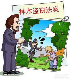 鼓角齐鸣