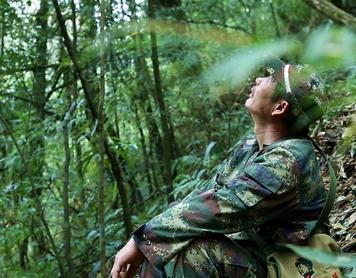 幽期密约