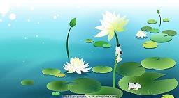 萍水相遭