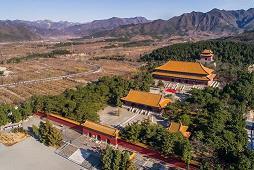 文子文孙