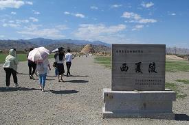 舍死忘生