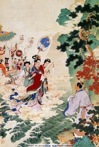 觅柳寻花