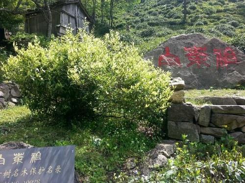 《迁村居二首》原文翻译注释赏析_作者唐代李洞