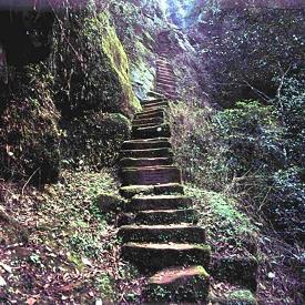 狐藉虎威