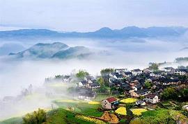 红紫乱朱