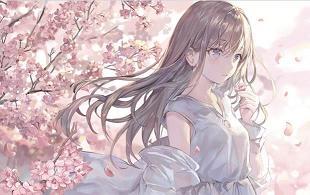 白璧无瑕