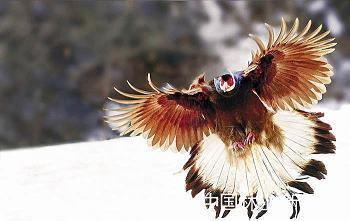 人急智生