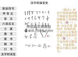 乘龙快婿