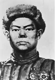 豕亥鱼鲁