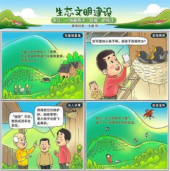 才子佳人