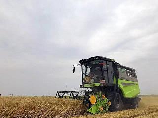 《重阳·一作九月九日》原文翻译注释赏析_作者唐代周贺