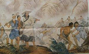 胆大心粗