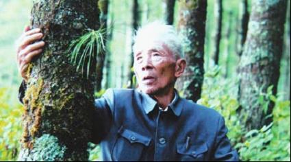 黑牛白角