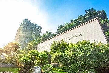 尸禄素餐