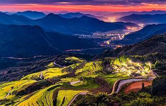 滋蔓难图