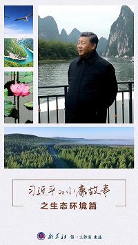《对花微疾不饮，呈坐中诸公》原文翻译注释赏析_作者唐代杜牧