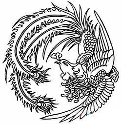 柳宠花迷