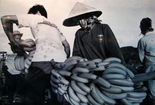 颠连无告