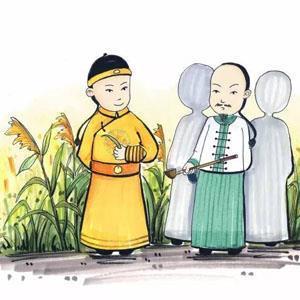 花攒锦聚