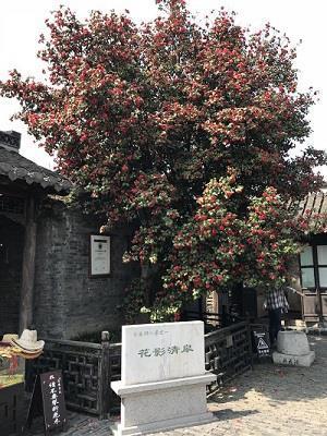 千篇一律