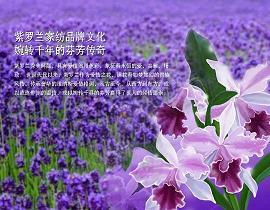拿什么拯救我自己