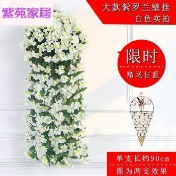 乌贼