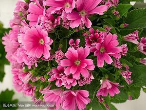 我和自然