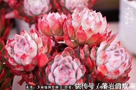 致快乐