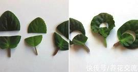个人诗集