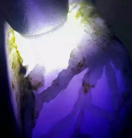 凝视渺小