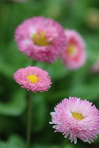 五一劳动节