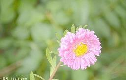 一颗糖的感受