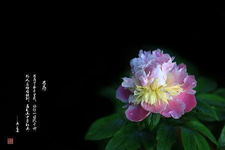 倾城一梦：水云空