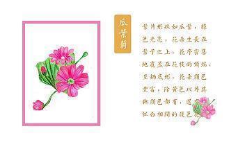 我爱这土地