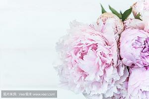 我的写作历程