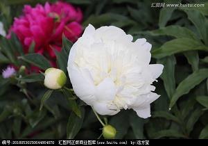 传递