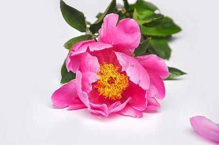 六年级