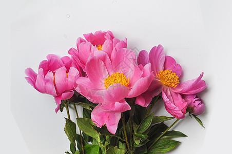 为自己点赞