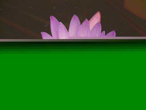 有这样一种声音
