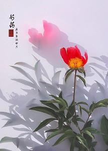 堕落式幸福
