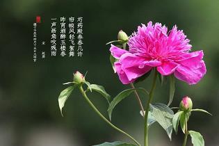 寂寞的季节