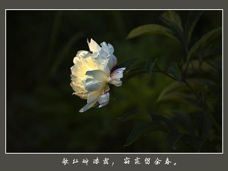 回味