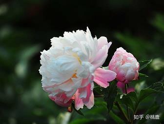 冲过终点的那一刻_初三作文_周靖翔完美作文
