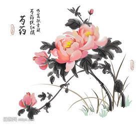 仅仅是心动而已