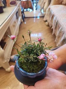 快乐的一天