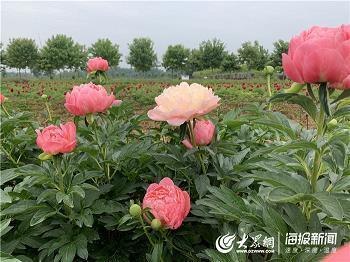 多味的生活